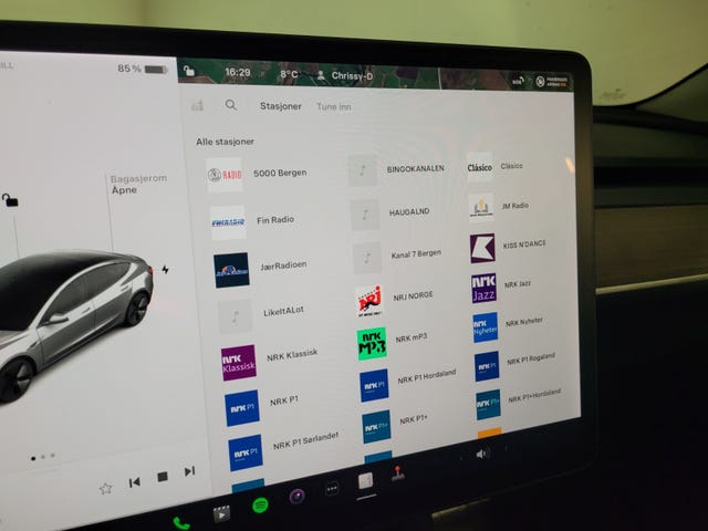 2021 TESLA MODEL 3 - 17