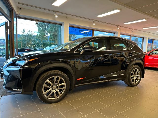 2015 LEXUS NX 300H - 20