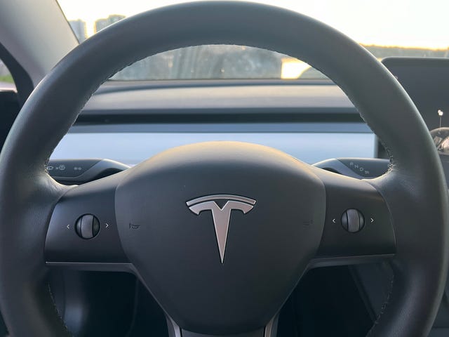 2021 TESLA MODEL 3 - 25