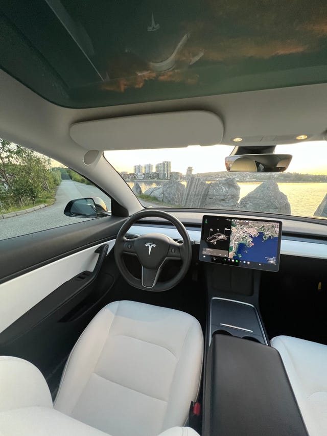 2021 TESLA MODEL 3 - 19