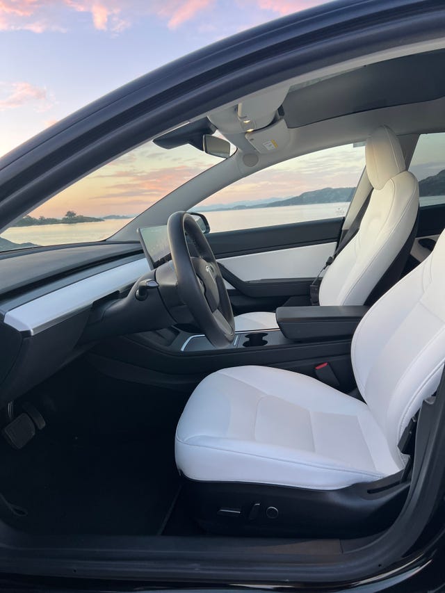 2021 TESLA MODEL 3 - 17