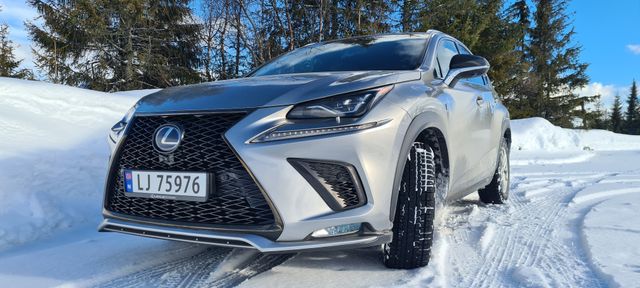 2019 LEXUS NX 300H - 12