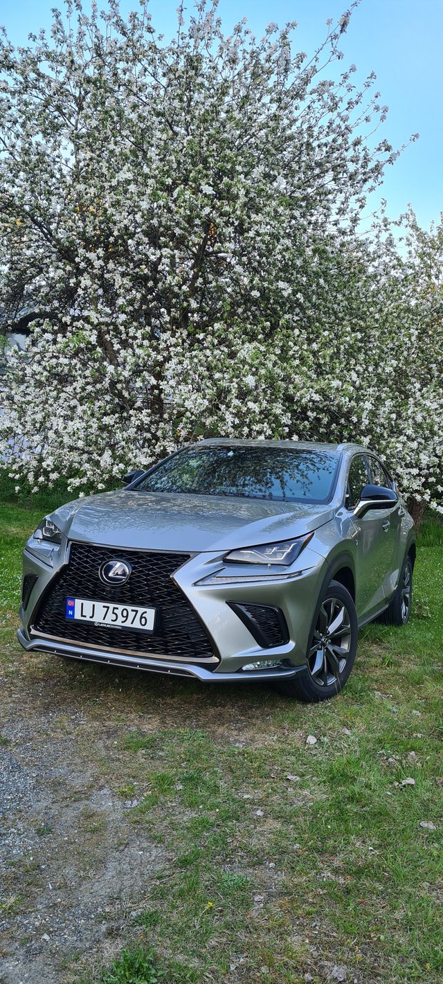 JTJBJRBZ802112441 2019 LEXUS NX 300H-4