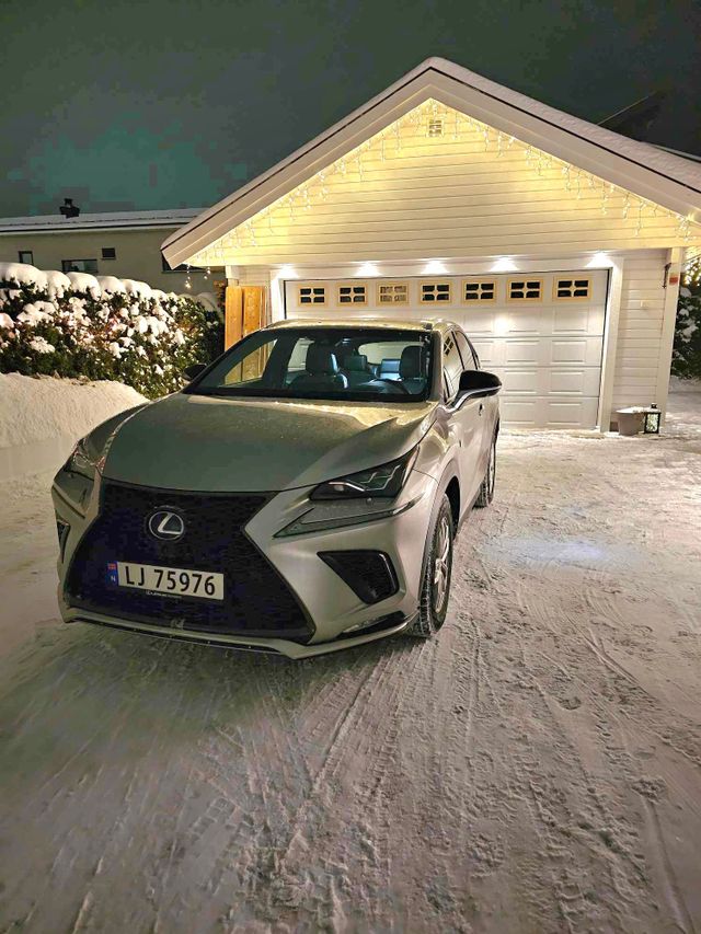 2019 LEXUS NX 300H - 19