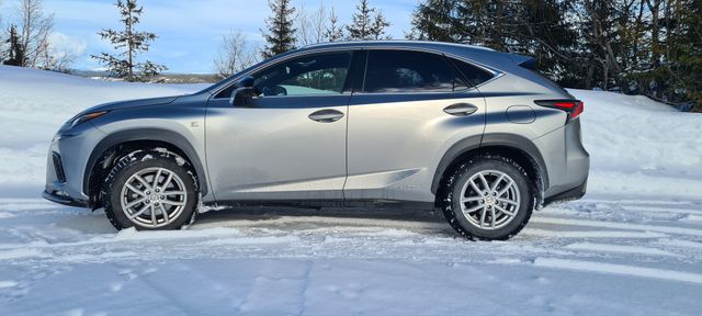 2019 LEXUS NX 300H - 14