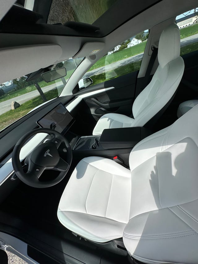 2021 TESLA MODEL 3 - 14