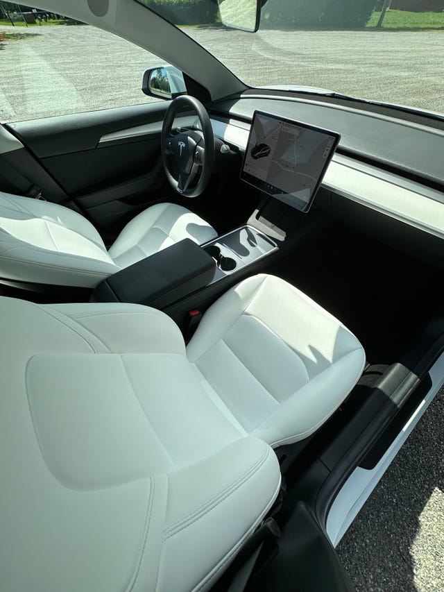 2021 TESLA MODEL 3 - 19