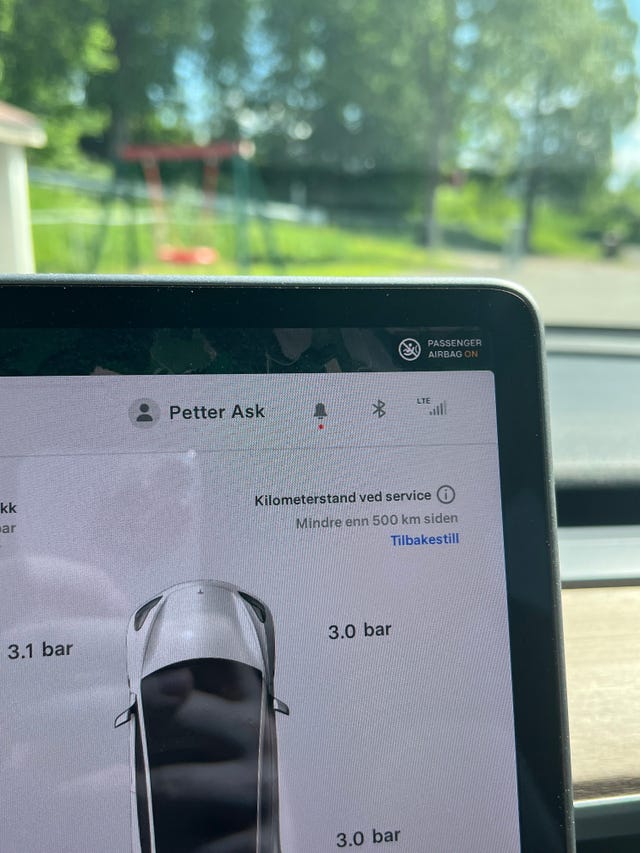2021 TESLA MODEL 3 - 13