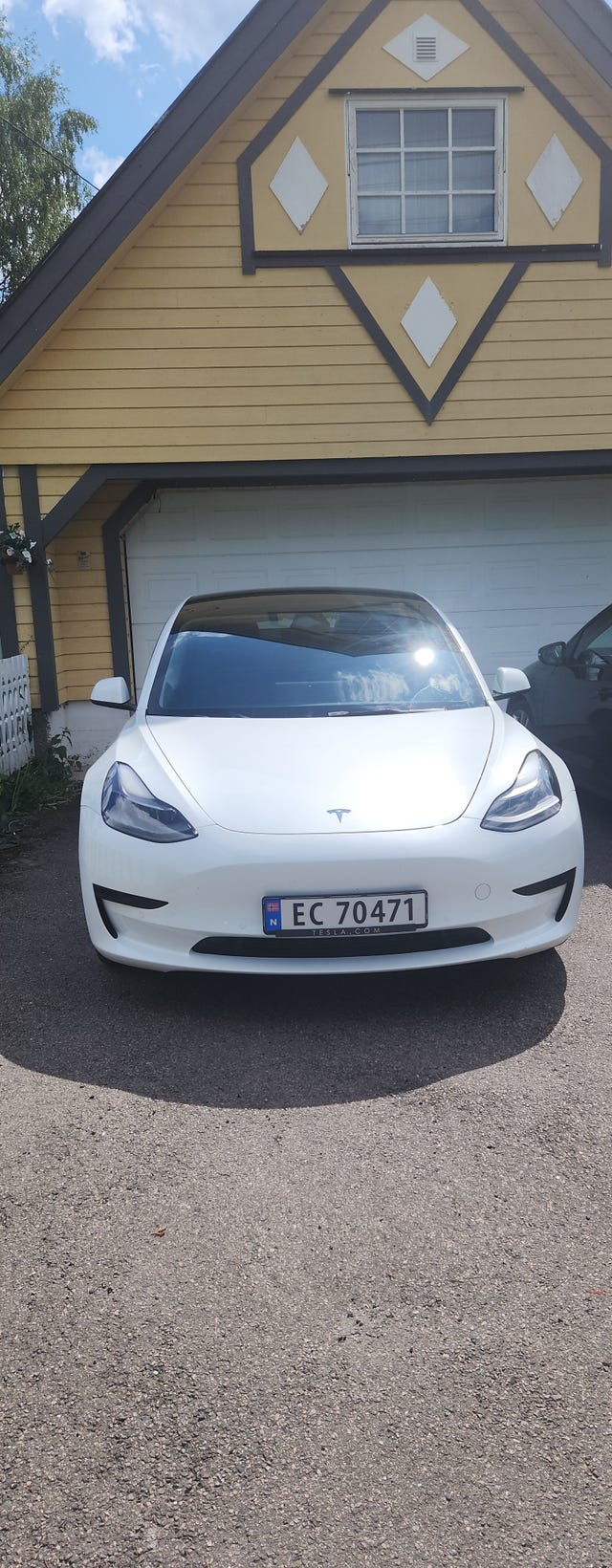 LRW3E7FA7MC229817 2021 TESLA MODEL 3-1