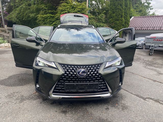 2021 LEXUS UX - 9