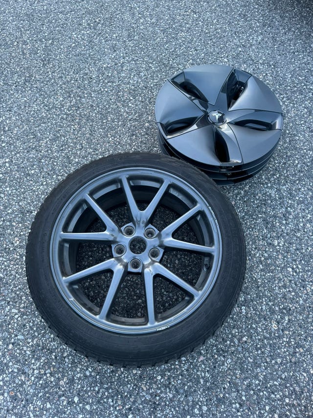 2019 TESLA MODEL 3 - 14
