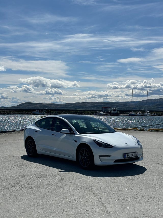 2021 TESLA MODEL 3 - 11