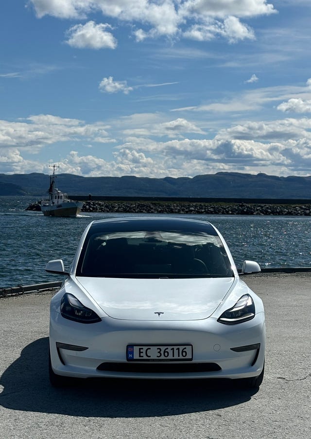2021 TESLA MODEL 3 - 13