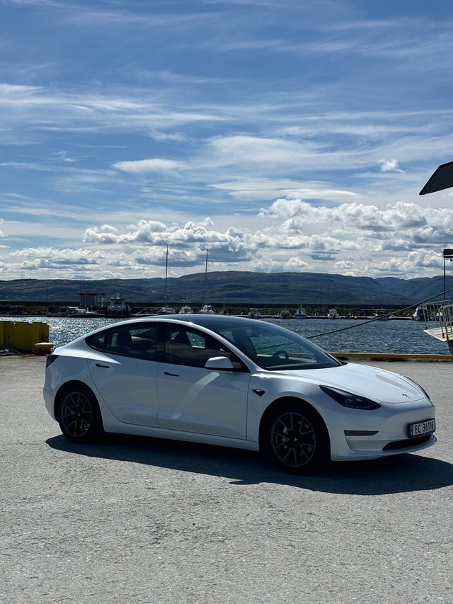 2021 TESLA MODEL 3 - 10