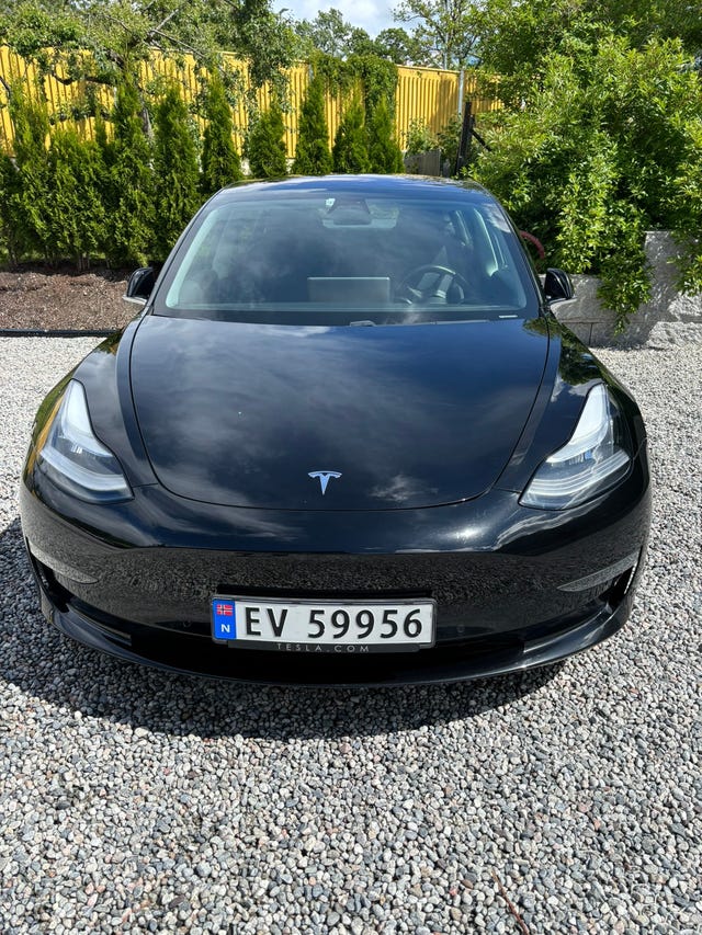 2019 TESLA MODEL 3 - 14