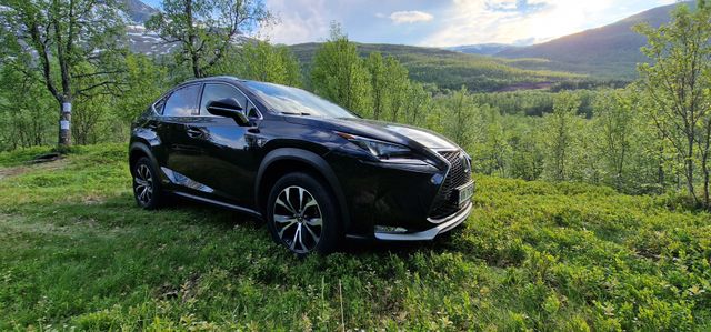 JTJBJRBZ102000144 2014 LEXUS NX 300H-3