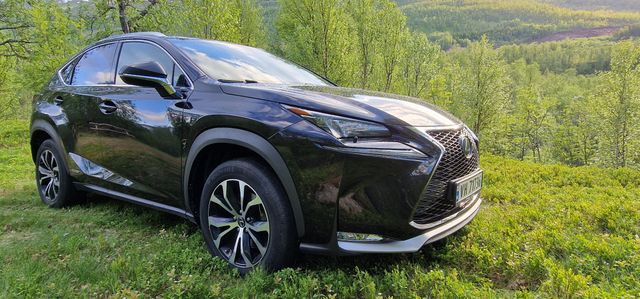 JTJBJRBZ102000144 2014 LEXUS NX 300H-4