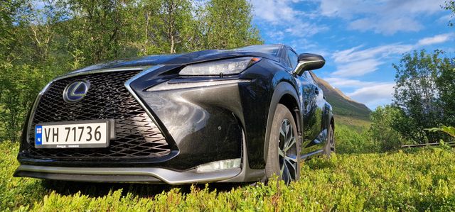 2014 LEXUS NX 300H - 1