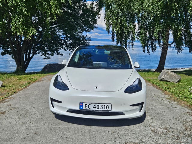 5YJ3E7EA0MF901126 2021 TESLA MODEL 3-1
