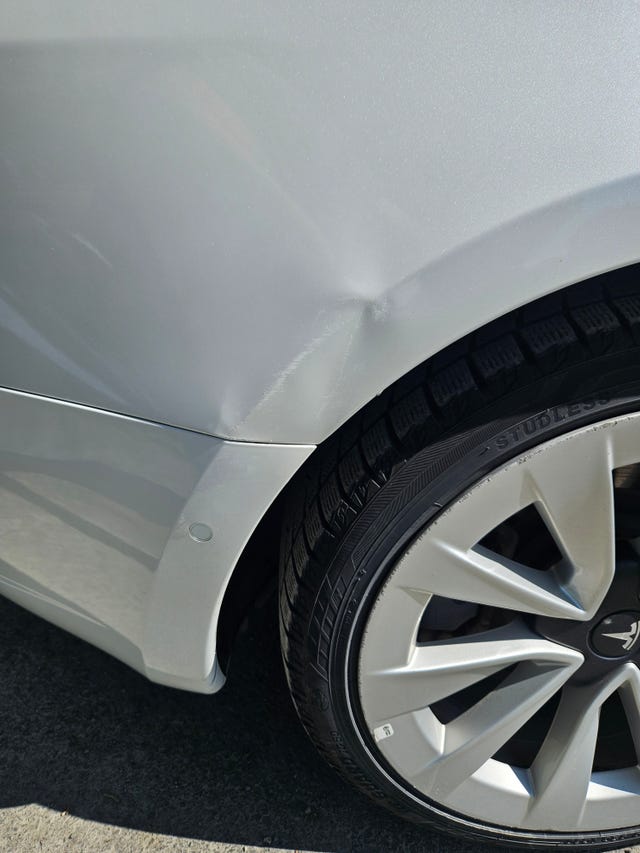 2021 TESLA MODEL 3 - 15