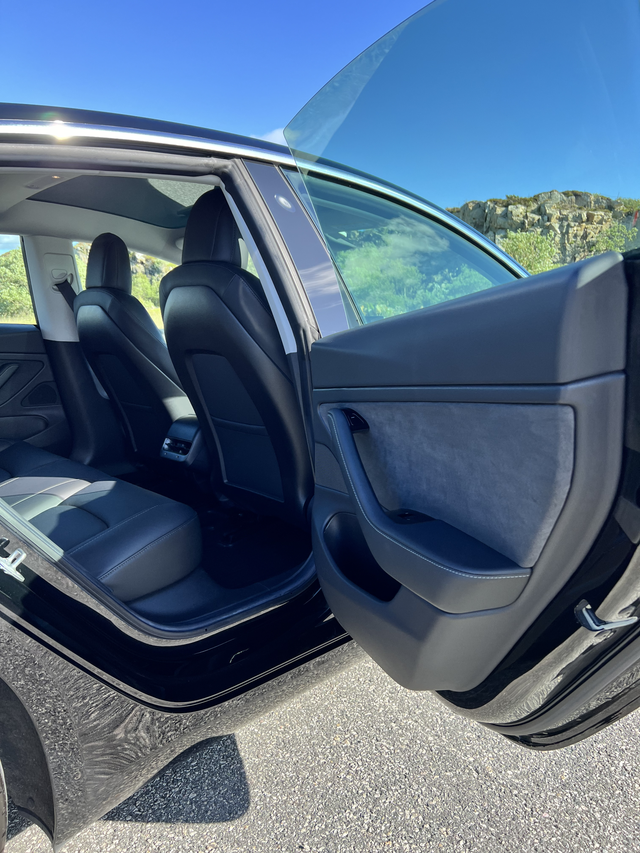 2019 TESLA MODEL 3 - 32