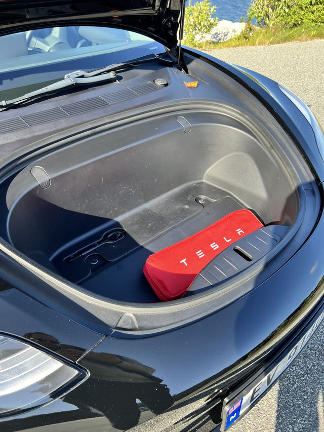 2019 TESLA MODEL 3 - 15