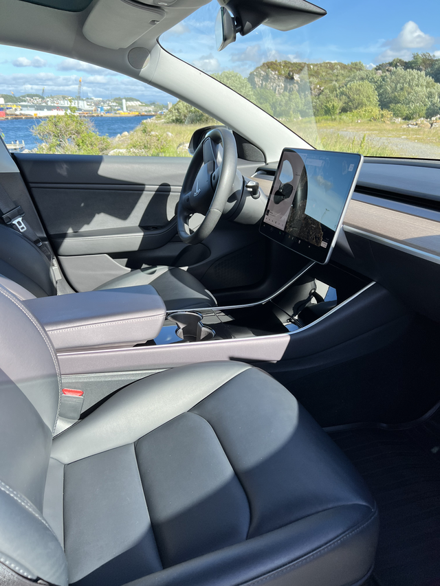 2019 TESLA MODEL 3 - 17