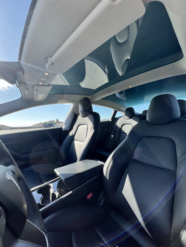 2019 TESLA MODEL 3 - 18