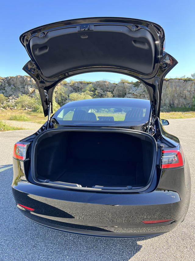 2019 TESLA MODEL 3 - 12