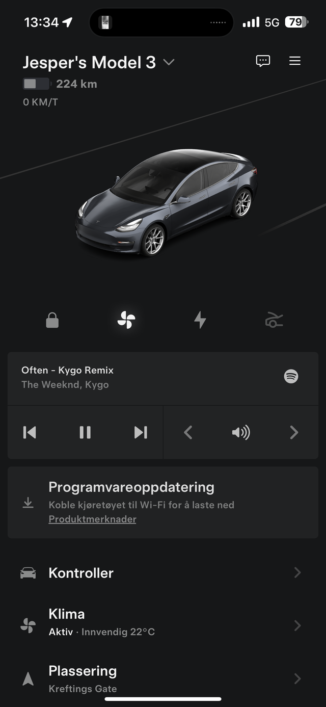 2019 TESLA MODEL 3 - 17