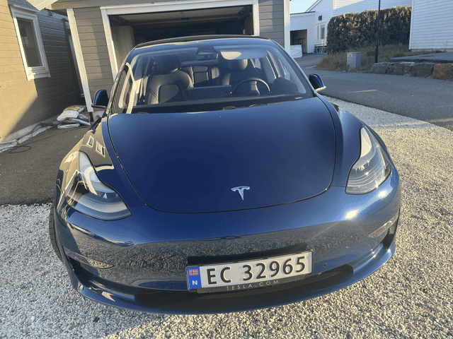 2021 TESLA MODEL 3 - 18