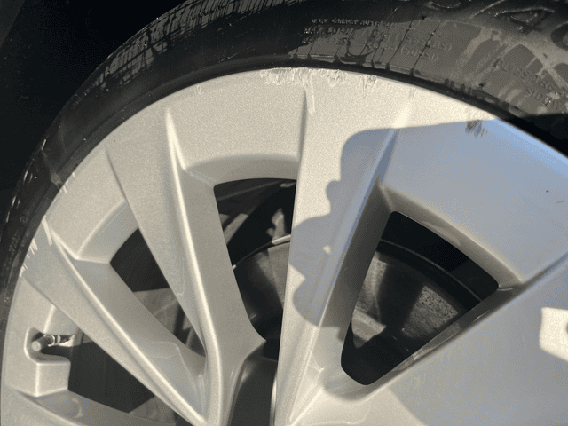 2021 TESLA MODEL 3 - 13