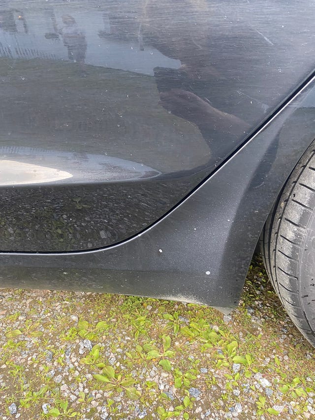 2019 TESLA MODEL 3 - 8