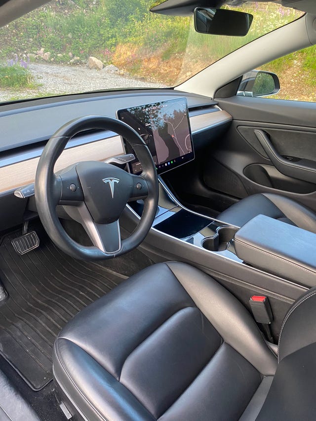 2019 TESLA MODEL 3 - 10