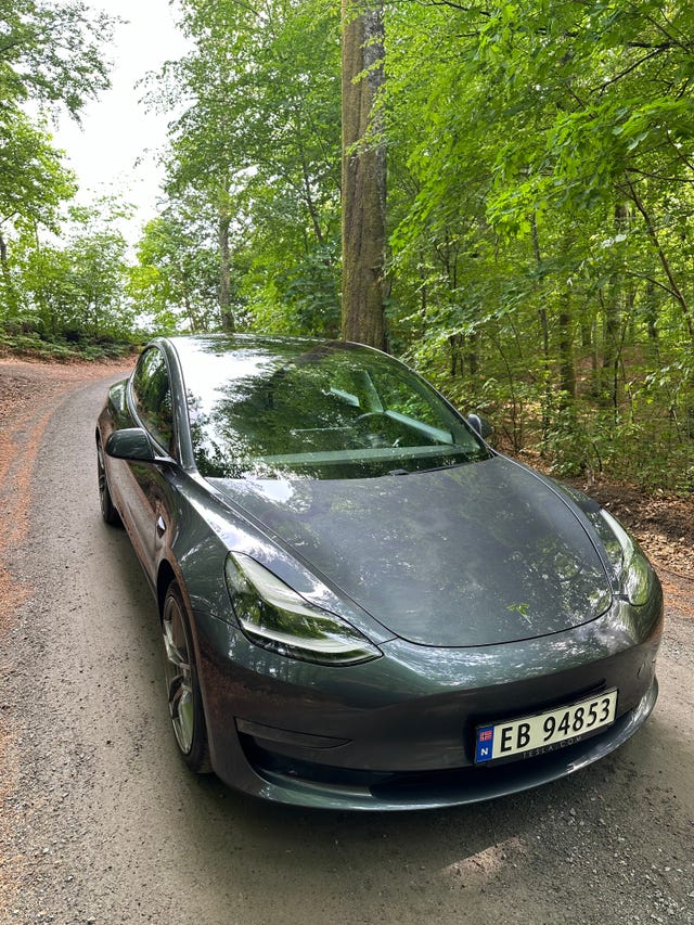2021 TESLA MODEL 3 - 15