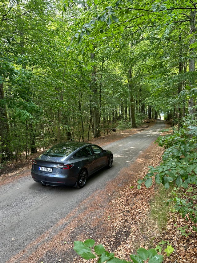 5YJ3E7EB3MF896724 2021 TESLA MODEL 3-0