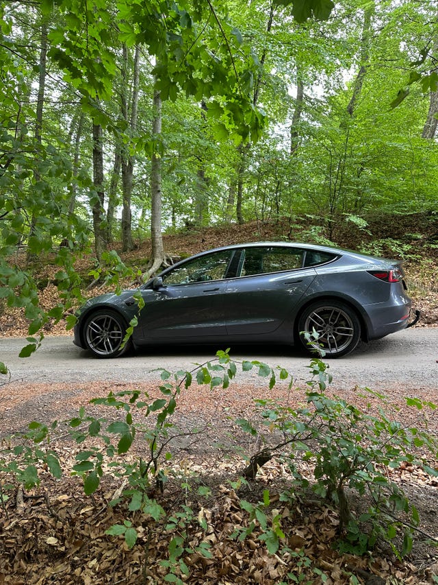 2021 TESLA MODEL 3 - 8
