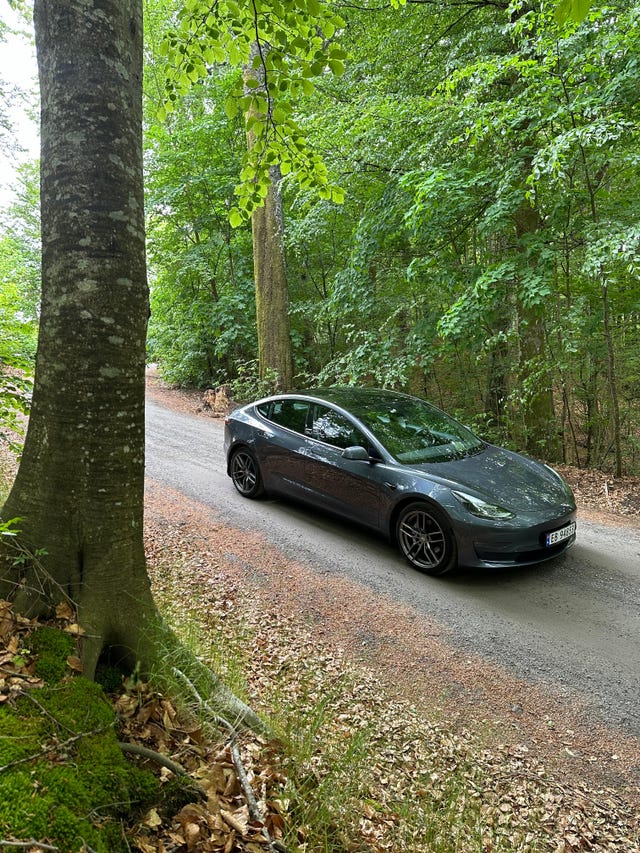 2021 TESLA MODEL 3 - 14
