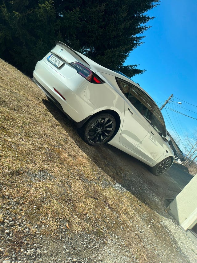2021 TESLA MODEL 3 - 10