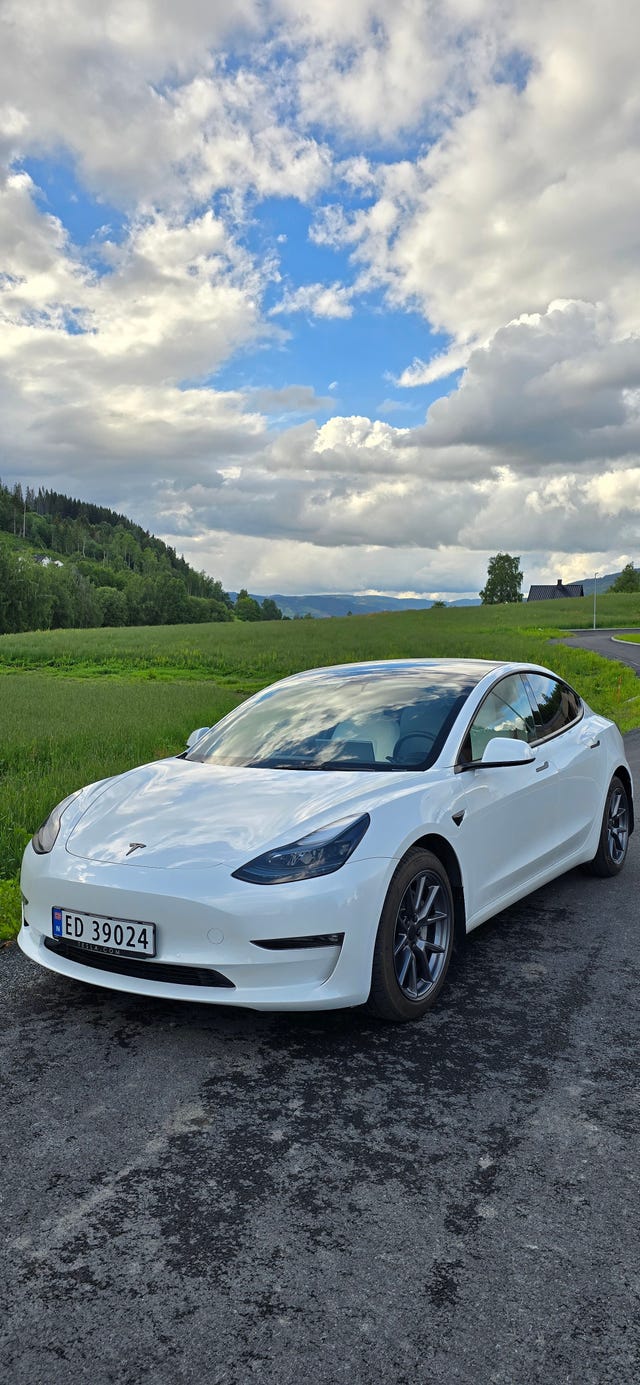 2021 TESLA MODEL 3 - 30