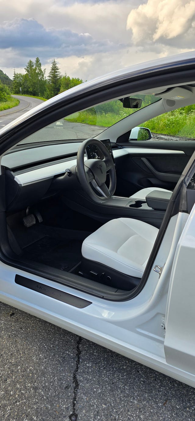 2021 TESLA MODEL 3 - 19
