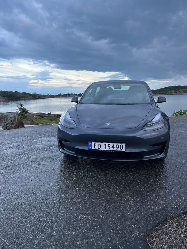 LRW3E7FJ8MC333958 2021 TESLA MODEL 3-0