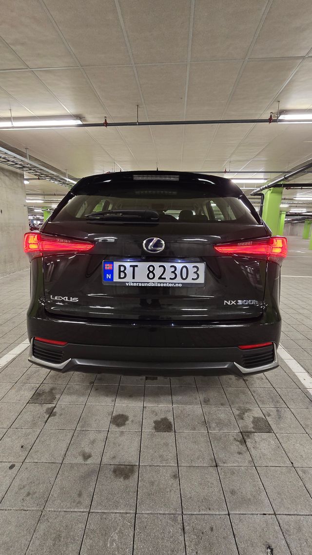 2018 LEXUS NX 300H - 10