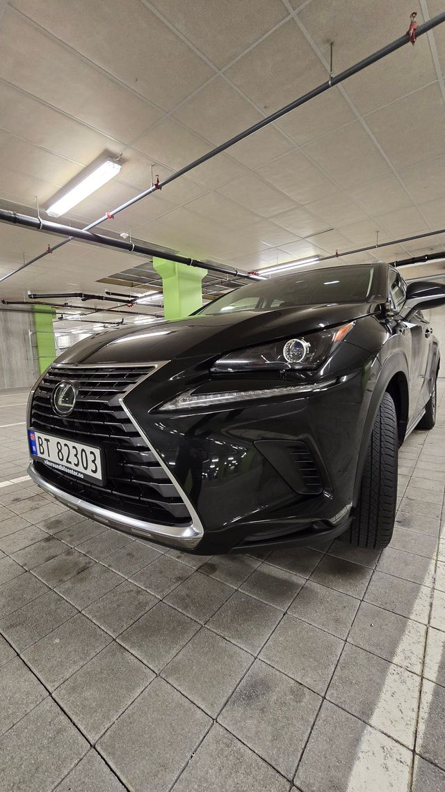 2018 LEXUS NX 300H - 13