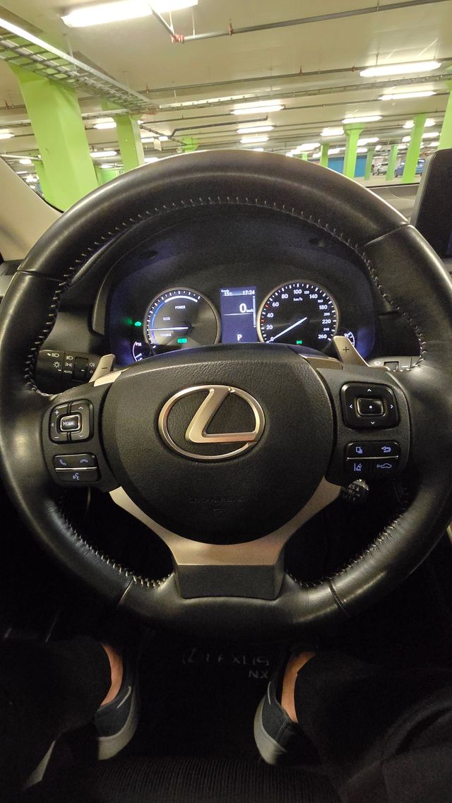 2018 LEXUS NX 300H - 25