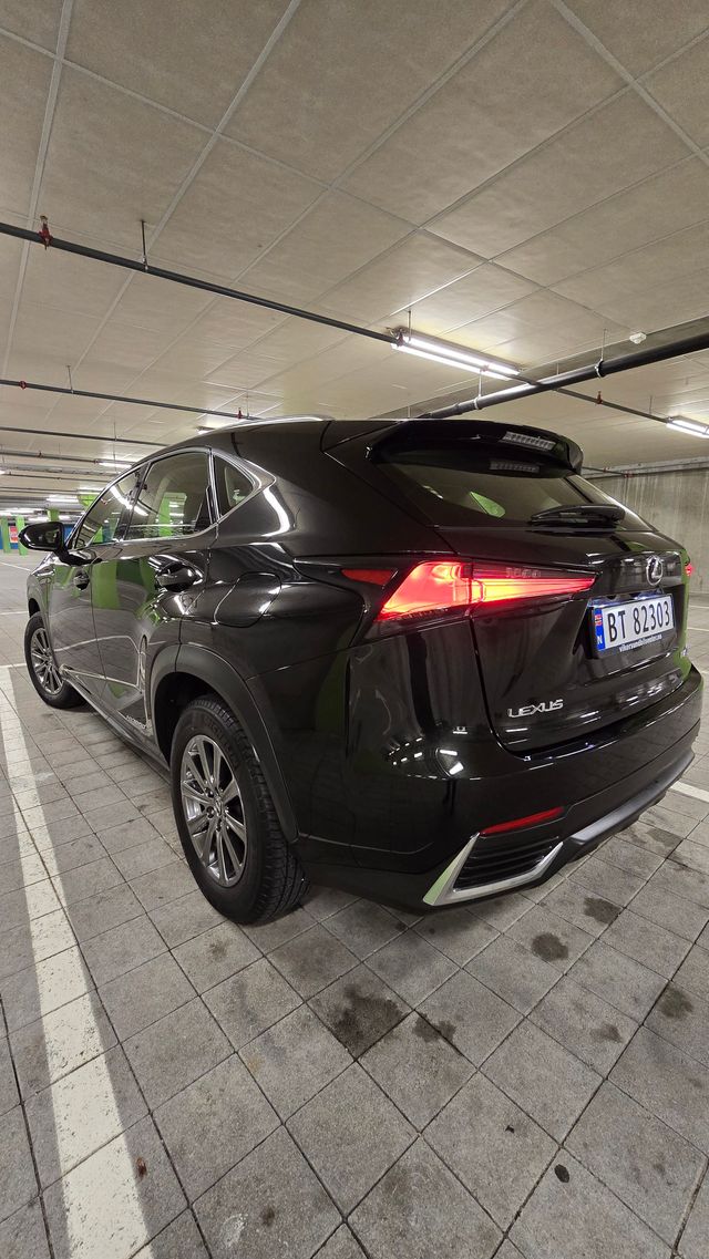 2018 LEXUS NX 300H - 11