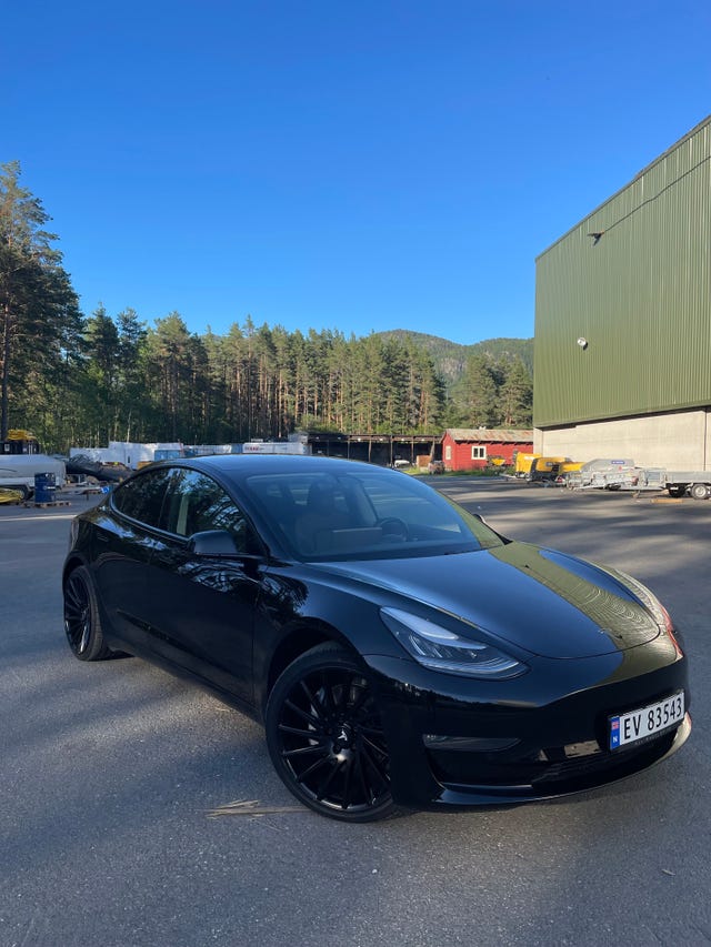 5YJ3E7EB1KF338965 2019 TESLA MODEL 3-3