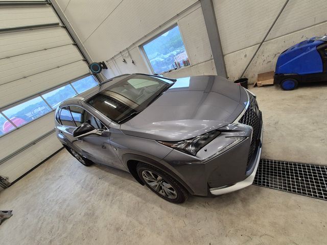 2015 LEXUS NX 300H - 8