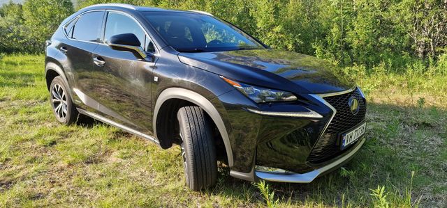 2014 LEXUS NX 300H - 24