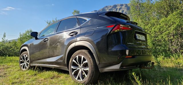 2014 LEXUS NX 300H - 22